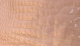 Glossy Alligator Skin